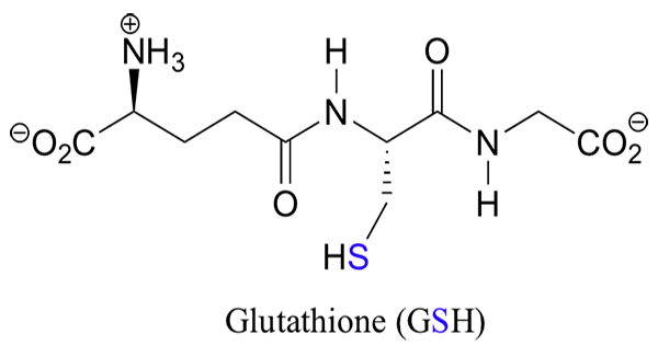 L-Glutathione là gì?